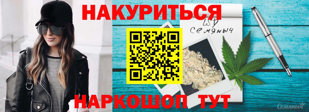 Конопля ГИДРОПОН  Вход с VPN  Конопля OG Kush  Щёлково  Каннабис Bruce Banner  Конопля SATIVA & INDICA 